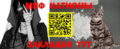 Альфа ПВП Ачхой-Мартан