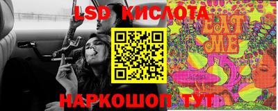 Альфа ПВП Ачхой-Мартан