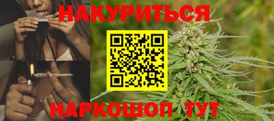 Альфа ПВП Ачхой-Мартан