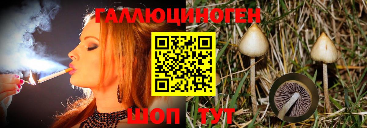 Псилоцибиновые грибы Cubensis  наркотики  Галлюциногенные грибы ЛСД  Нововоронеж  Вход с VPN 