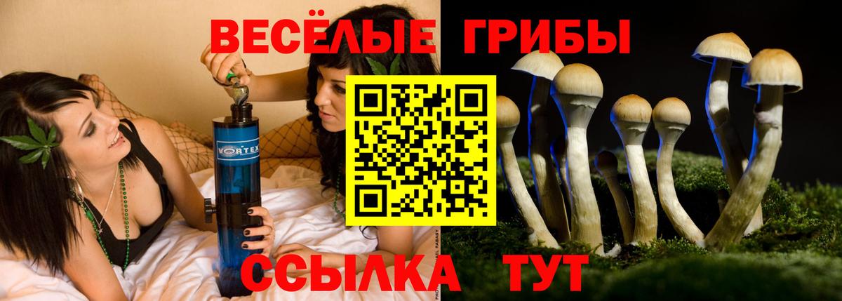 Галлюциногенные грибы MAGIC MUSHROOMS Нововоронеж